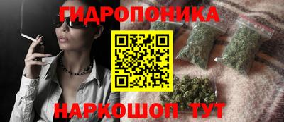 spice Новодвинск