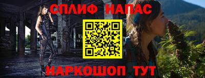 Альфа ПВП Новозыбков