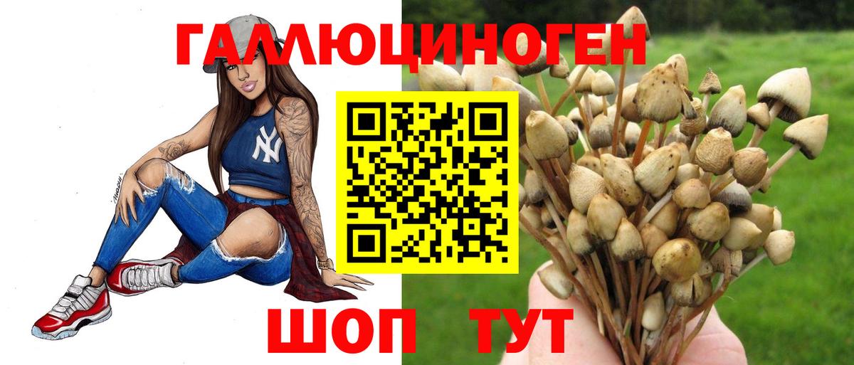 Строитель  Галлюциногенные грибы мухоморы  Вход с VPN 